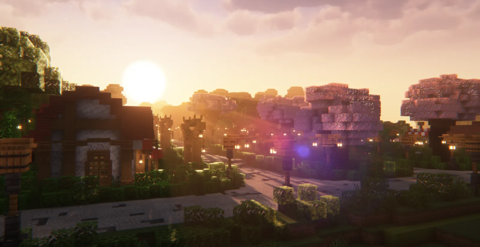 Скріншот Minecraft від meitene.space — сервер QQQ-CRAFT