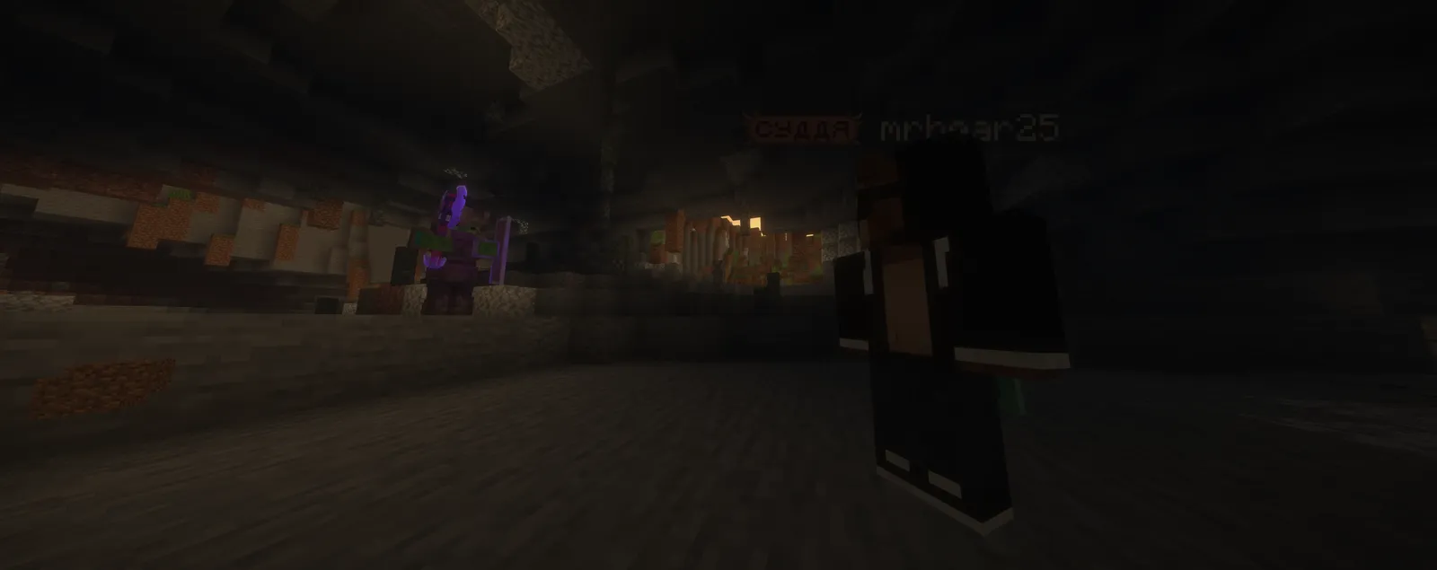 Скріншот Minecraft від miishanii — сервер QQQ-CRAFT