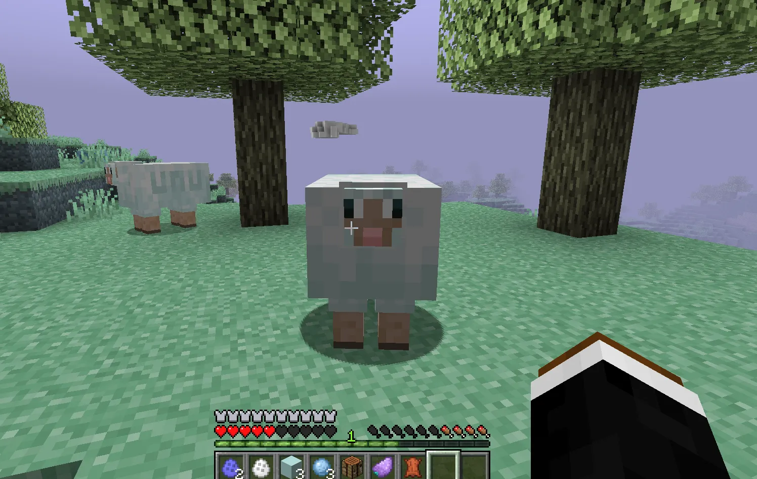 Скріншот Minecraft від miishanii — сервер QQQ-CRAFT